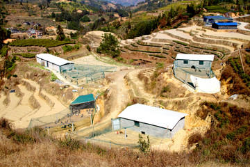 跑山鸡 山上 养殖基地