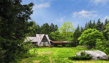 森林草坪木屋