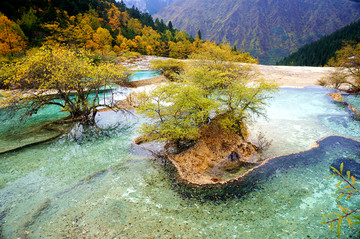 黄龙彩池秋景