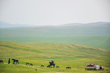 内蒙古草原上的风景