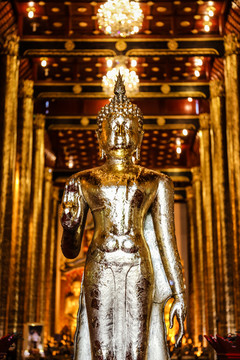 泰国清迈契迪龙寺佛像