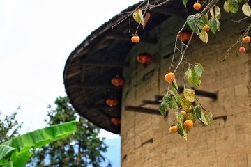 福建围龙屋