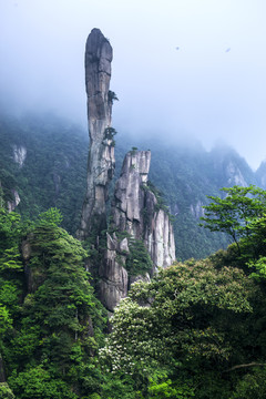 三清山 巨蟒出山