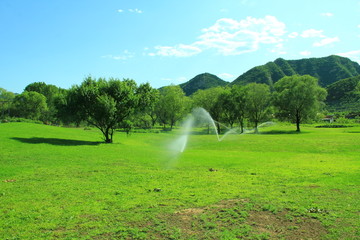 远山绿草