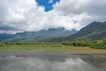 拉市海湿地公园