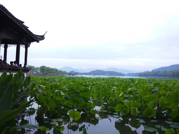 西湖十景