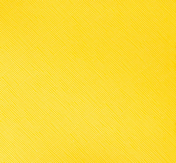 皮纹