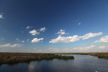 湿地 自然风光 蓝天 芦苇