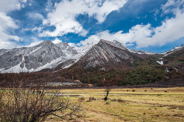 亚丁 稻城