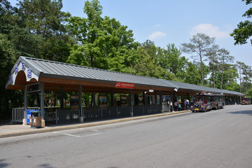 景区观光车站