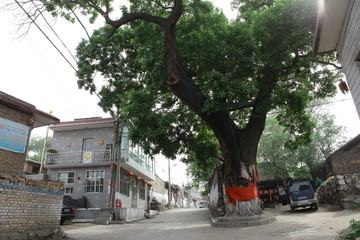 豫让村