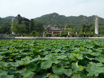 南普陀寺