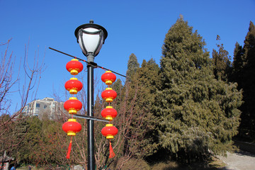 北京陶然亭公园红灯笼