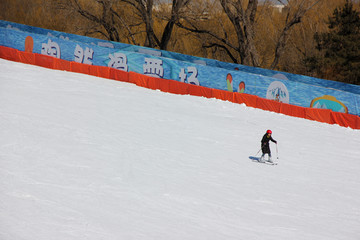 第八届陶然冰雪嘉年华