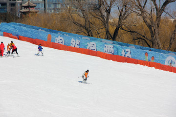 第八届陶然冰雪嘉年华