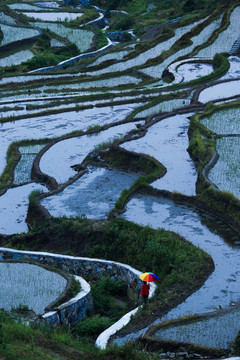 蕲春梯田异乡客