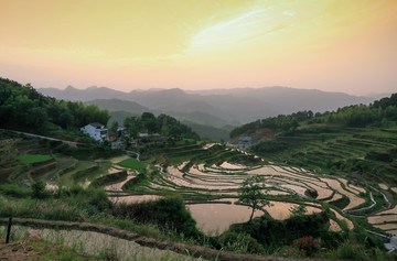 蕲春梯田