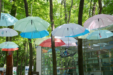 林间悬挂的伞