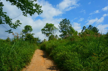 山间土道