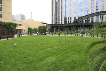 中央音乐学院绿地草坪