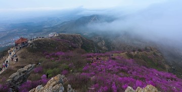 山景