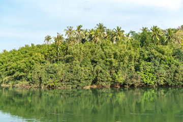 热带河流