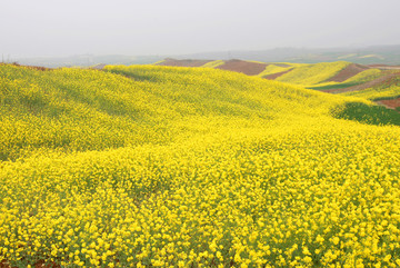 油田风光