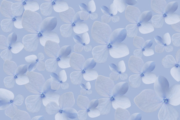 蓝色小花朵底纹