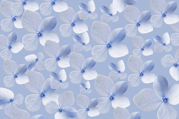 蓝色小花朵背景