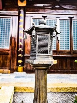 广富林遗址  知也禅寺