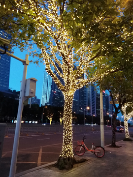 夜灯 树灯 灯光