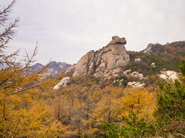 山东 青岛 金秋的崂山风光