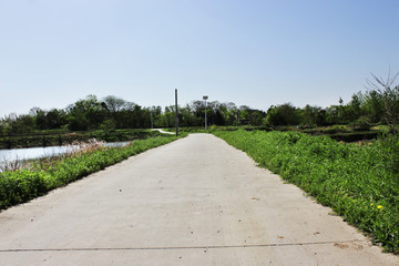 乡村小路
