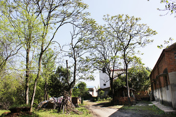 农村