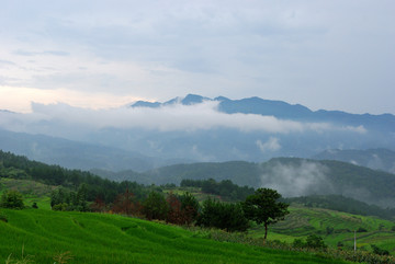 棋疤山