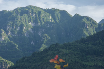 青山 大山