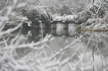 雪后的小桥与湖水树枝