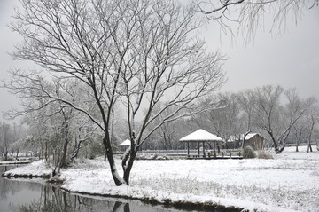 雪中的树木与小屋湖水