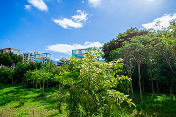 福永立新湖水库公园