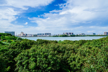 福永立新湖水库