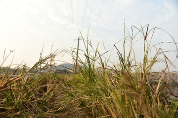 场景