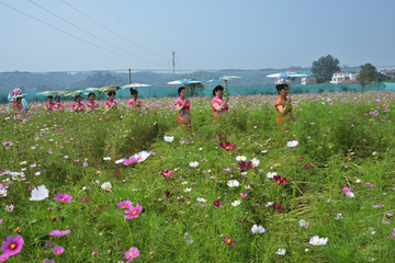 花海 花园