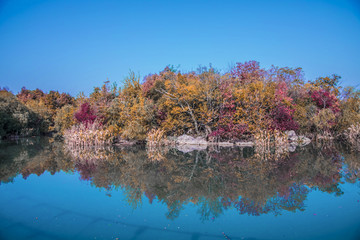 水天一色 湿地公园