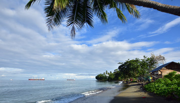 椰树海滩