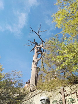 华山风景摄影