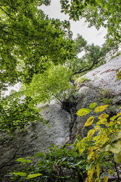 洛阳天池山