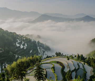 茗岙风光