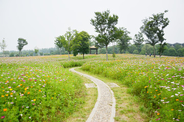 花田小路