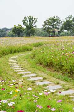 花田石板小路