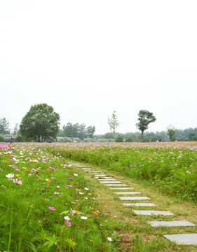 花田石板路